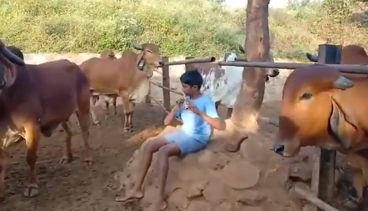 viral video