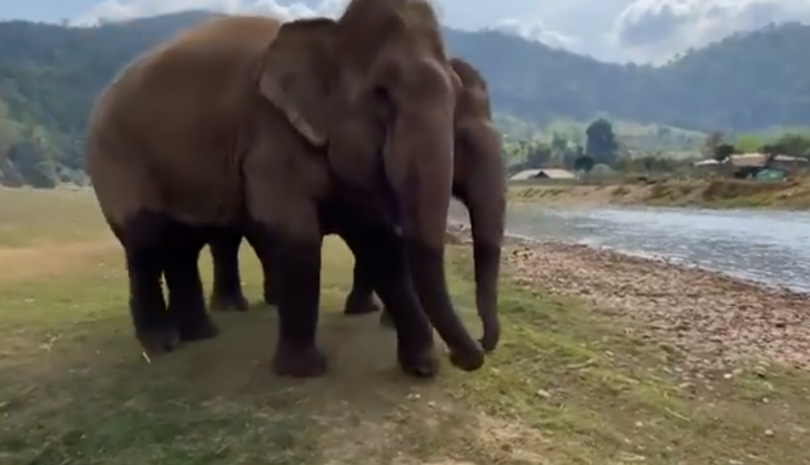 video