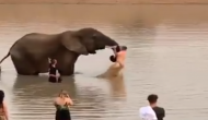 हाथी की सूंड़ पकड़कर लटक रहा था शख्स, वीडियो में देखें कैसे आया गजराज को गुस्सा और फिर...