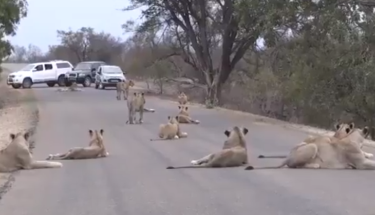 viral video