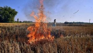 SC to Centre: Submit report on your plans to control stubble burning