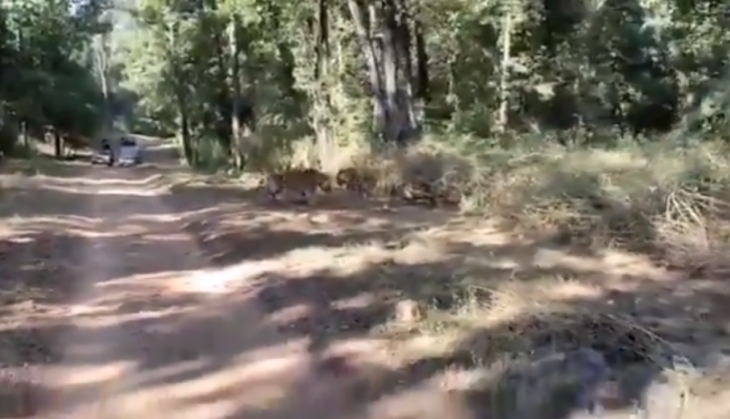 video