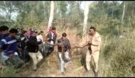 UP: Forest dept rescues Python in Aligarh