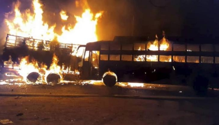 bus