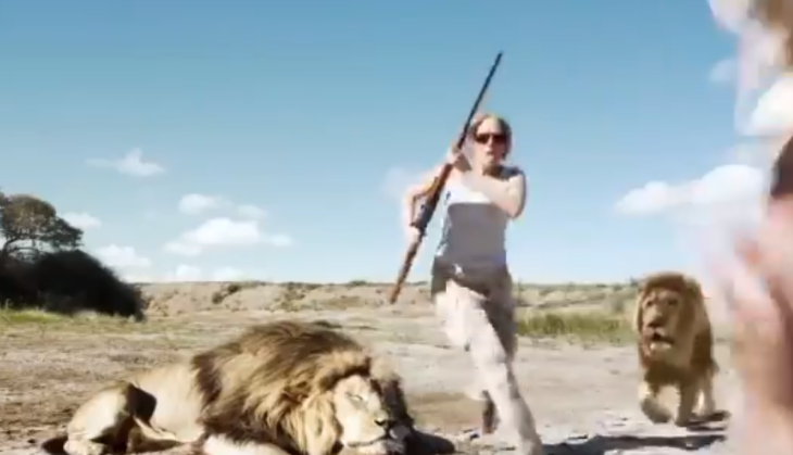Lion