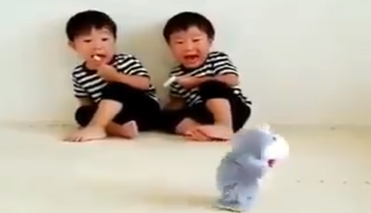 Toy