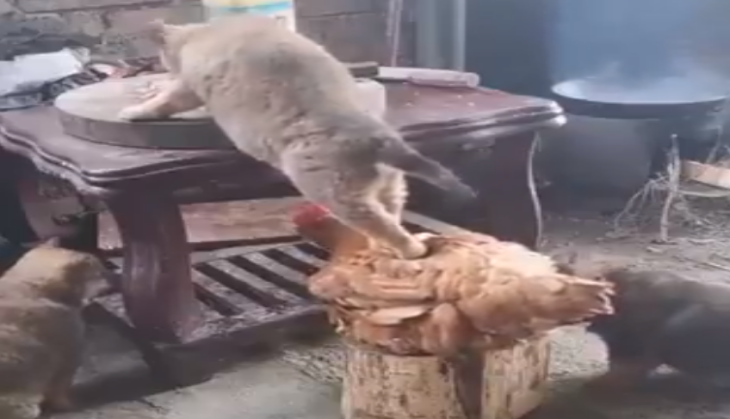 video