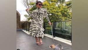 Priyanka Chopra turns 'white tiger,' her dog Diana turns 'her cub'