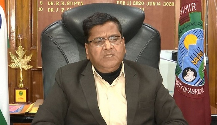 J-K: New Basmati variety by Jammu university doubles farmers' income 