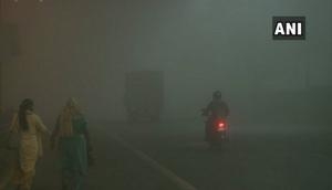 Weather Update Today: Dense fog engulfs parts of Delhi, AQI remains in 'very poor' category