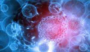 Study finds why men face higher risk of most cancers than women