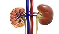 Study reveals psychosocial factors may drive peritoneal dialysis patient dropout