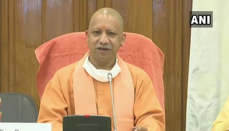 yogi