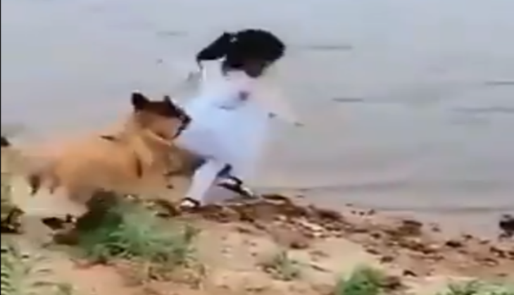 viral video