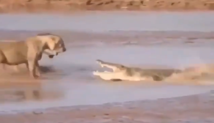 viral video