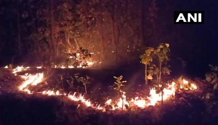 Forest fires contained and controlled in Odisha 