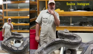 Huge python attacks zookeeper; know what happens next in viral video