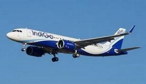 Baby girl born onboard flight from Bengaluru to Jaipur