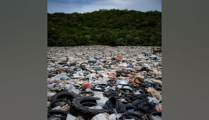 Microplastic waste becomes 'hubs' for antibiotic-resistant bacteria and pathogens: Study