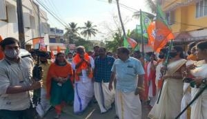 Kerala polls: Kummanam Rajasekharan blames CPIM for inciting violence against BJP workers