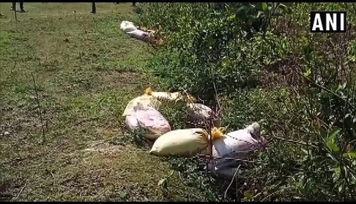 WB Polls 2021: 41 crude bombs recovered from West Bengal's South 24 Parganas