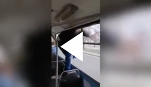 Funny Video: Ticketless passenger did this hilarious thing after seeing ticket inspector
