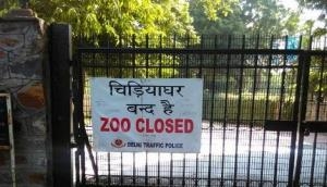 Coronavirus Pandemic: Delhi zoo sends samples of some animals for COVID-19 testing at IVRI Bareilly 