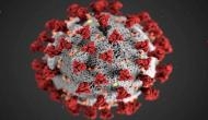 Coronavirus Pandemic: Mutation is normal, virus will keep mutating, says Top health expert