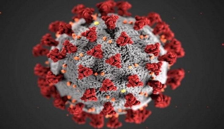 coronavirus