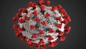Coronavirus: Argentina sees 13,483 new COVID-19 cases, 474 deaths