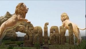 UP Corona Update: Two lionesses test positive for COVID-19 at Etawah Safari Park 