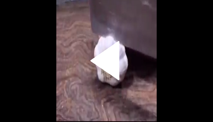 Try this easy hack to peel garlic within seconds; watch viral video