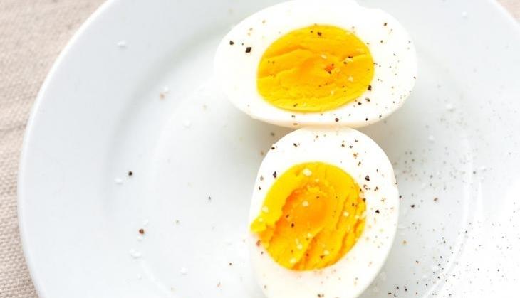 egg