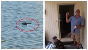 Bravo! Man saves his dog from an alligator; video goes viral