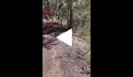 Hiker stalked by a mountain lion; unedited video goes viral