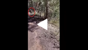 Hiker stalked by a mountain lion; unedited video goes viral