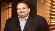 India tells Dominica: Hand over Choksi, he committed a huge crime and is our citizen