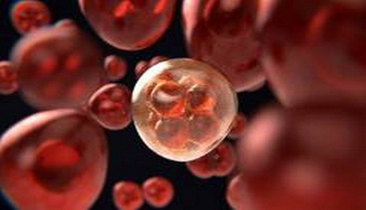 Head, neck cancer cells hijack nearby healthy tissue, promote further invasion of cancer cells: Study