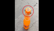 You will be amused to see two bees opening an orange soda; watch viral video