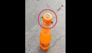 You will be amused to see two bees opening an orange soda; watch viral video