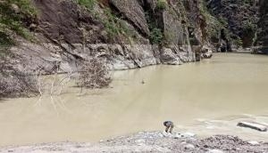 ITBP, SDRF teams sent for inspection of Rishiganga lake and glacier: Chamoli District Magistrate 