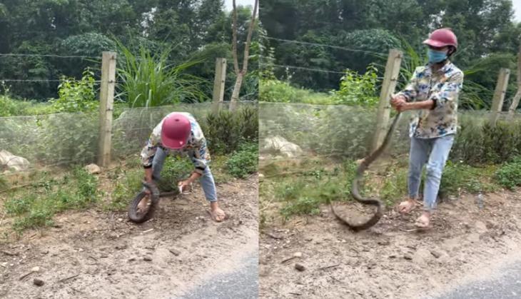 Snake and Woman