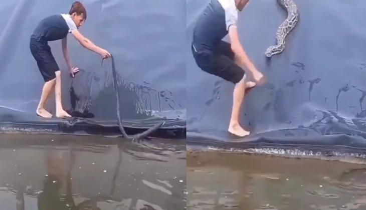 man trying to catch snake