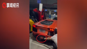 Man uses Lamborghini to barbeque meat; what happens next is hilarious!