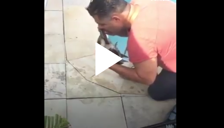 Old viral video of man giving CPR to dying bird will make you emotional!