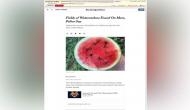 US: NYT made a booboo, several caught on