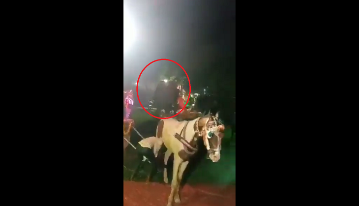 Elephant goes on a rampage during wedding procession; terrifying video goes viral