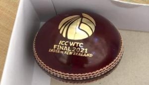 Ind vs NZ: First pic of special ball that will be used to play WTC final