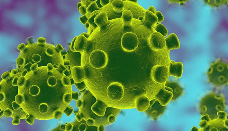 Green fungus: What we know so far