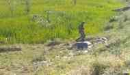 Jammu and Kashmir: Suspicious bag found in Srinagar's Lasjan bypass area